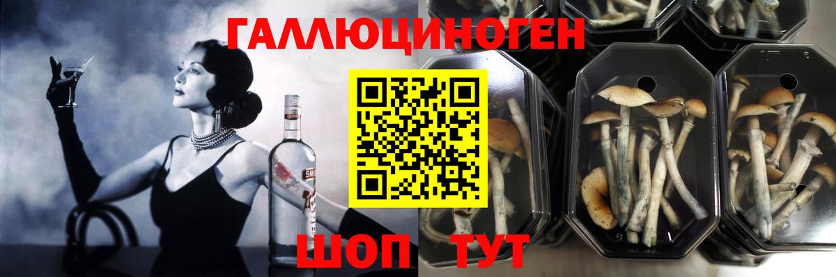 Урай  Галлюциногенные грибы MAGIC MUSHROOMS  Вход с VPN 