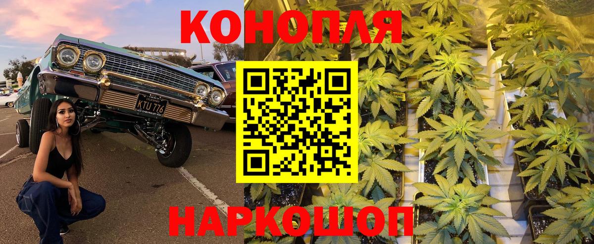 Бошки марихуана SATIVA & INDICA  Канабис конопля  Шишки марихуана ГИДРОПОН  Урай  Шишки марихуана AK-47  Вход с VPN 
